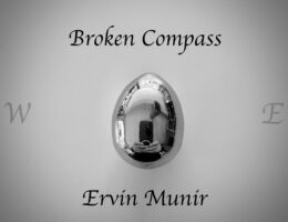 Ervin Munir