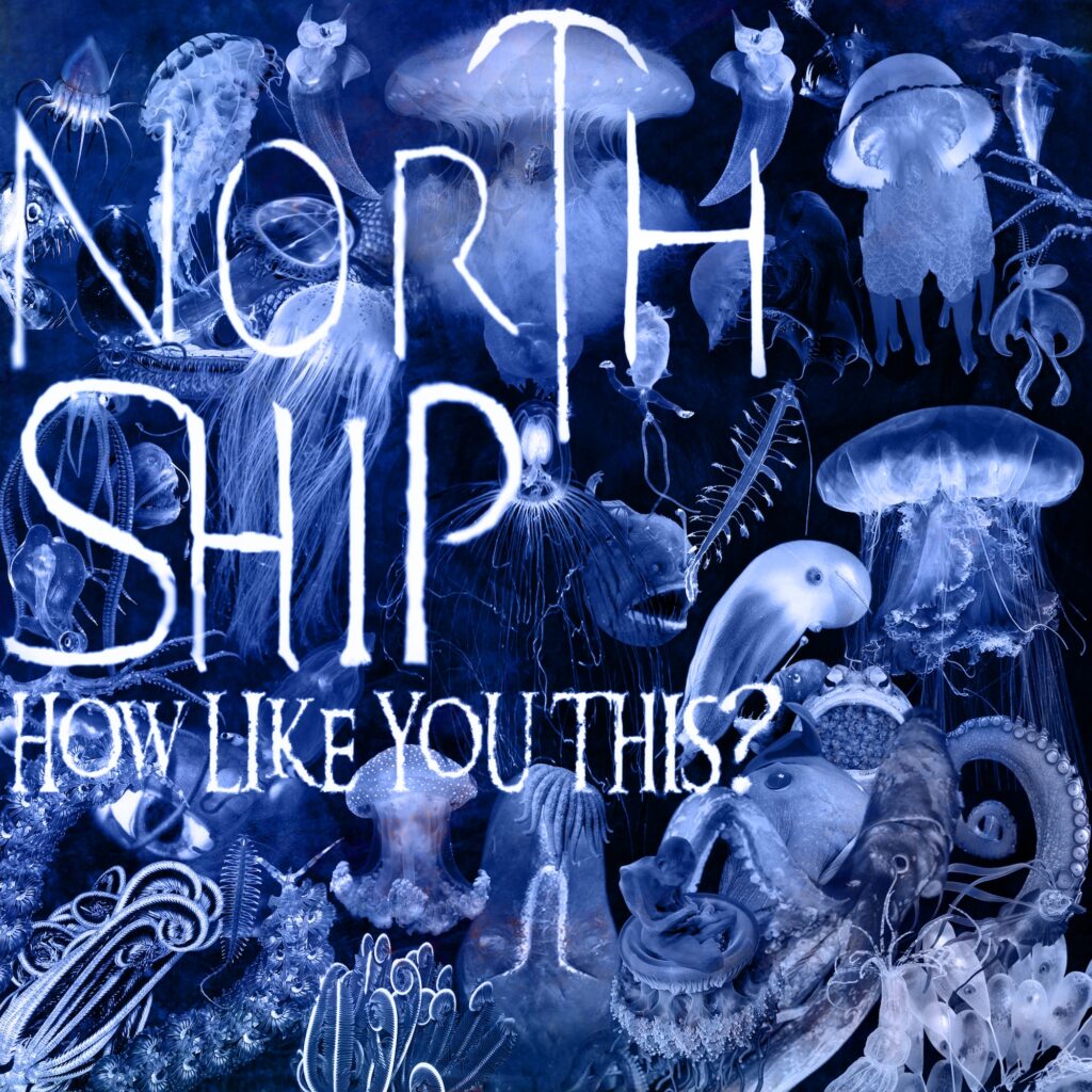 North Ship